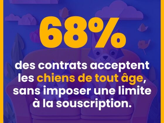 Label Excellence 2025 ECA-Assurances récompensée pour son assurance animaux zoomassurance.fr