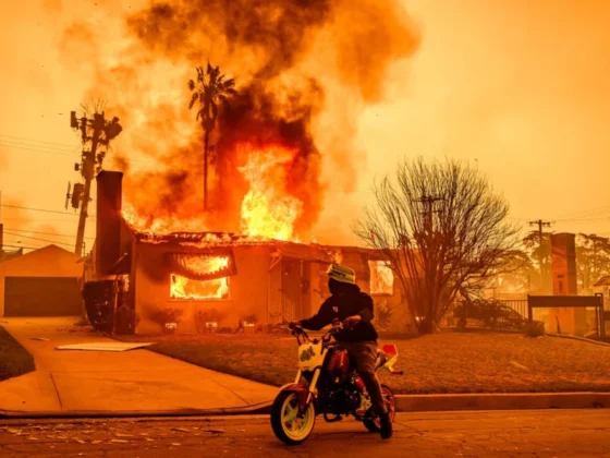 Incendies à Los Angeles zoomassurance.fr