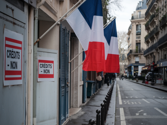 2024 Une Année Record de Réduction des Crédits en France zoomassurance.fr