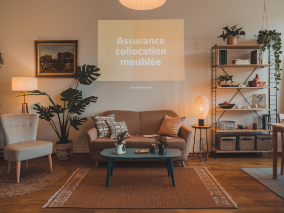 Assurance Colocation Meublée Guide Complet pour les Locataires zoomassurance.fr