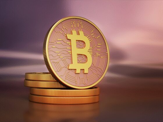 Cryptomonnaies : Comment fonctionnera la réserve stratégique de bitcoins aux Etats-Unis ?