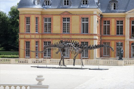 Le dinosaure "Vulcain" part aux enchères pour 6 millions d'euros