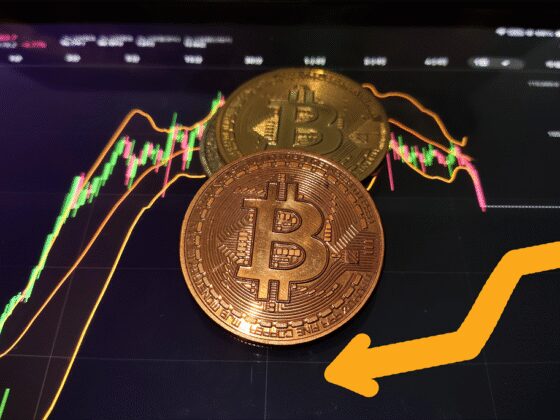 Le bitcoin repasse la barre des 100.000 dollars