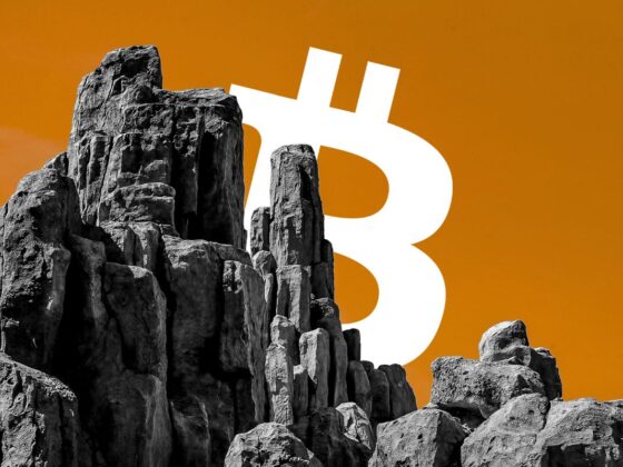 Avec 16 jours consécutifs dans le vert, l’ETF Bitcoin de BlackRock signe un record en 2025