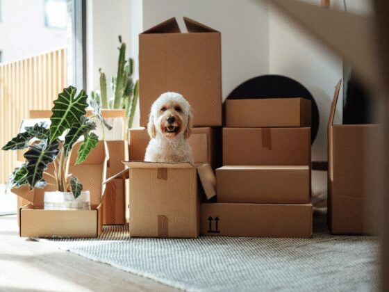 Taux immobiliers : le deuil du crédit à 1% est en train de s'opérer