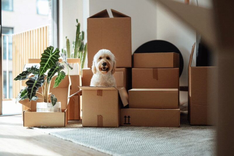 Taux immobiliers : le deuil du crédit à 1% est en train de s'opérer