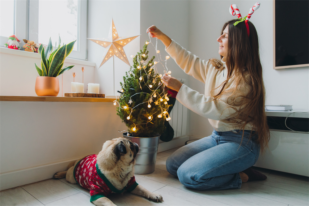 Enfin la prime de Noël !