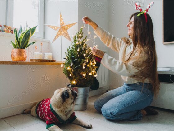 Enfin la prime de Noël !