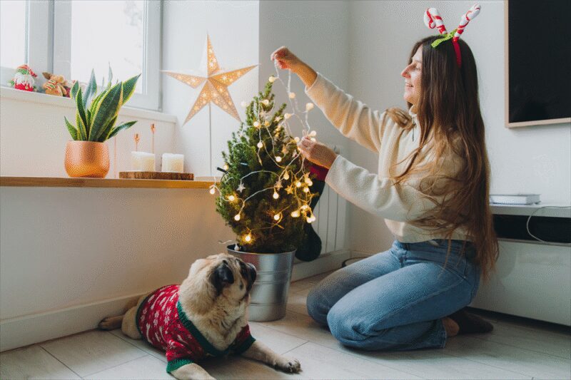 Enfin la prime de Noël !