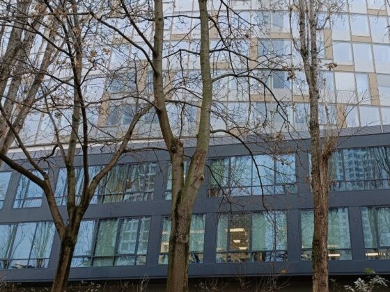 Assurance vie : des performances encore très contrastées pour les unités de compte immobilières