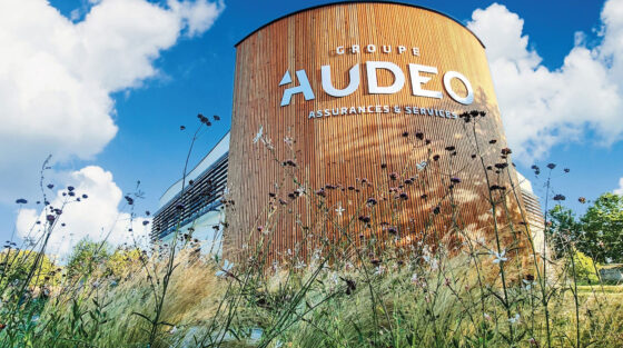 Le Groupe Audeo : une performance impressionnante en 2024