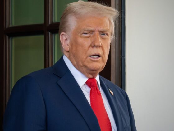 Acier, Europe, blocage judiciaire… Où en sont les droits de douane de Donald Trump ?