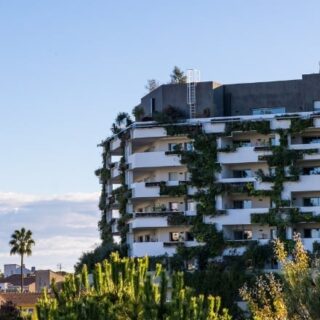Immobilier à Montpellier : Une analyse du marché avec Mon Chasseur Immo