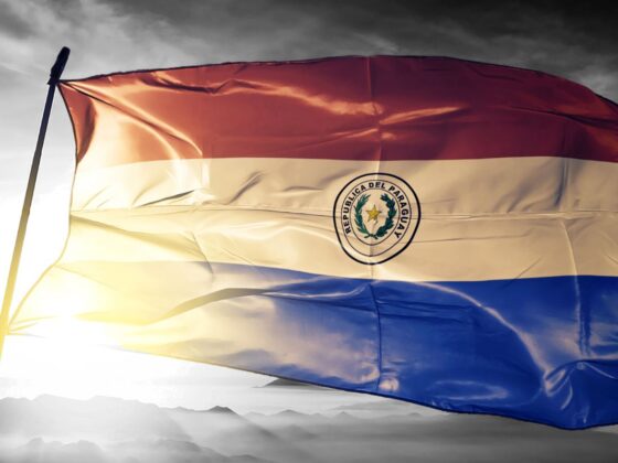 Bitcoin (BTC) comme monnaie légale au Paraguay ? Le compte X du président diffuse une fausse annonce