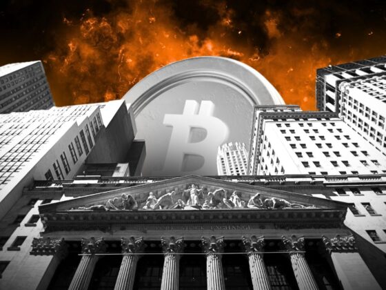 Acheter des actions de Bitcoin Treasury Companies : la fausse bonne idée qui revient à acheter du BTC trop cher