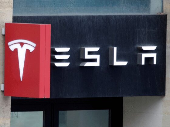 Les Tesla sont-elles devenues des "totems d'extrême droite" ?