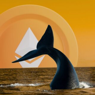 39 millions de dollars : une whale accumule de l’ETH malgré la dégringolade du cours