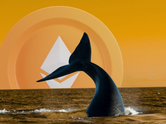 39 millions de dollars : une whale accumule de l’ETH malgré la dégringolade du cours