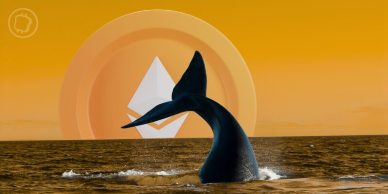 39 millions de dollars : une whale accumule de l’ETH malgré la dégringolade du cours
