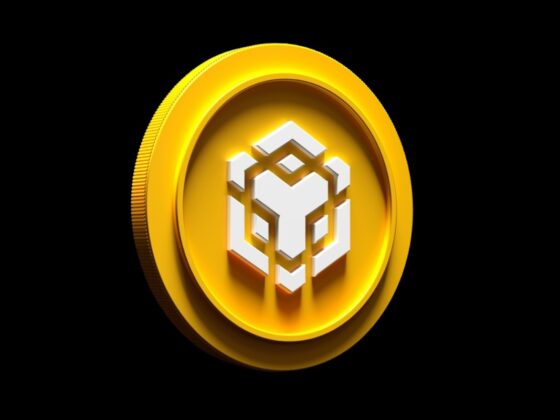 100 millions de dollars pour une trésorerie d'entreprise BNB - C'est le projet de ces dirigeants d'un fonds spéculatif crypto