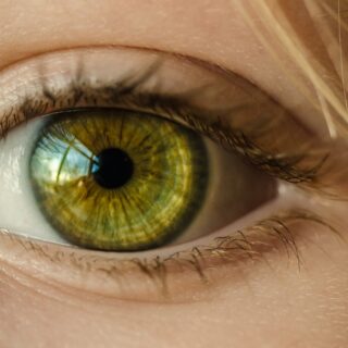 Reddit va-t-il scanner vos yeux avec World ID pour prouver que vous êtes humain ?