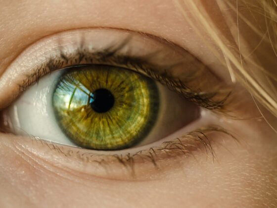 Reddit va-t-il scanner vos yeux avec World ID pour prouver que vous êtes humain ?