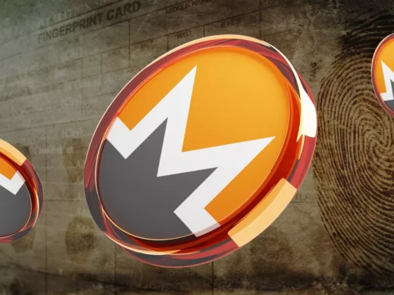 Un hacker Monero trahi par une transaction Bitcoin : quand la blockchain devient un allié du FBI
