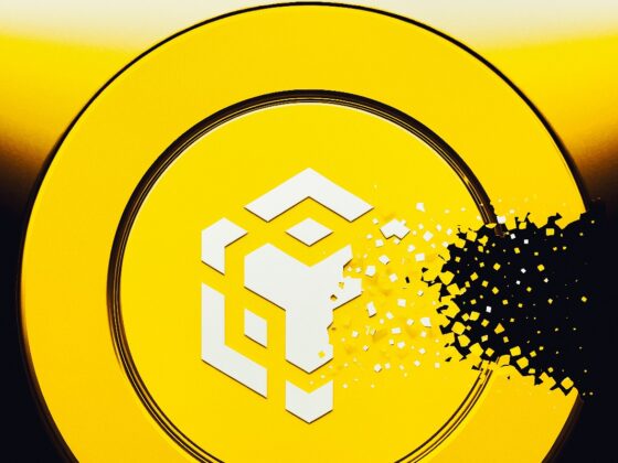 311 milliards de volume en un mois : le secret dérangeant derrière le record de la BNB Chain