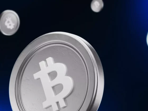 ATH du Bitcoin : quelles sont les plus-values latentes des plus gros détenteurs de BTC ?