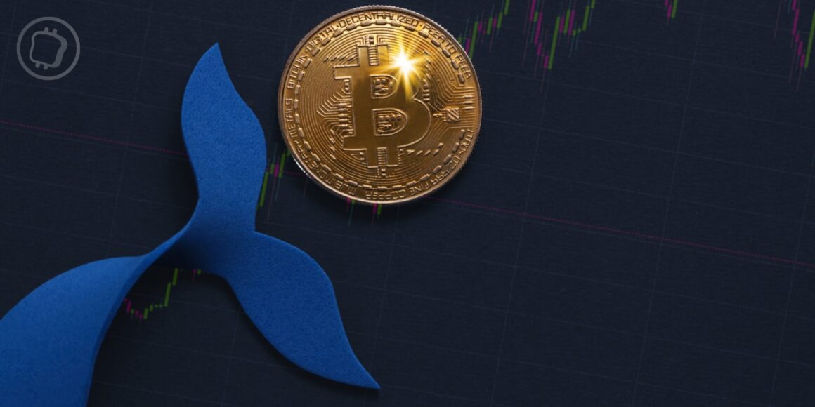Un mystérieuse adresse de 2011 fait transiter des milliards de dollars de Bitcoin (BTC)