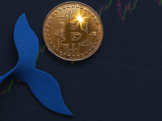 Un mystérieuse adresse de 2011 fait transiter des milliards de dollars de Bitcoin (BTC)