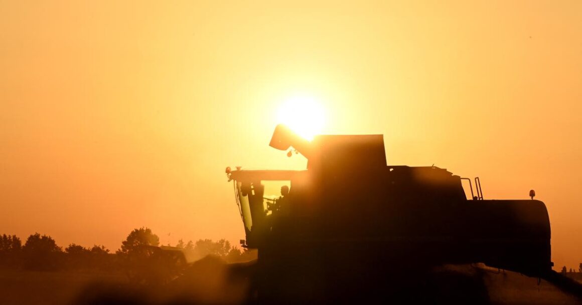 suicide agriculteurs