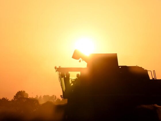 suicide agriculteurs