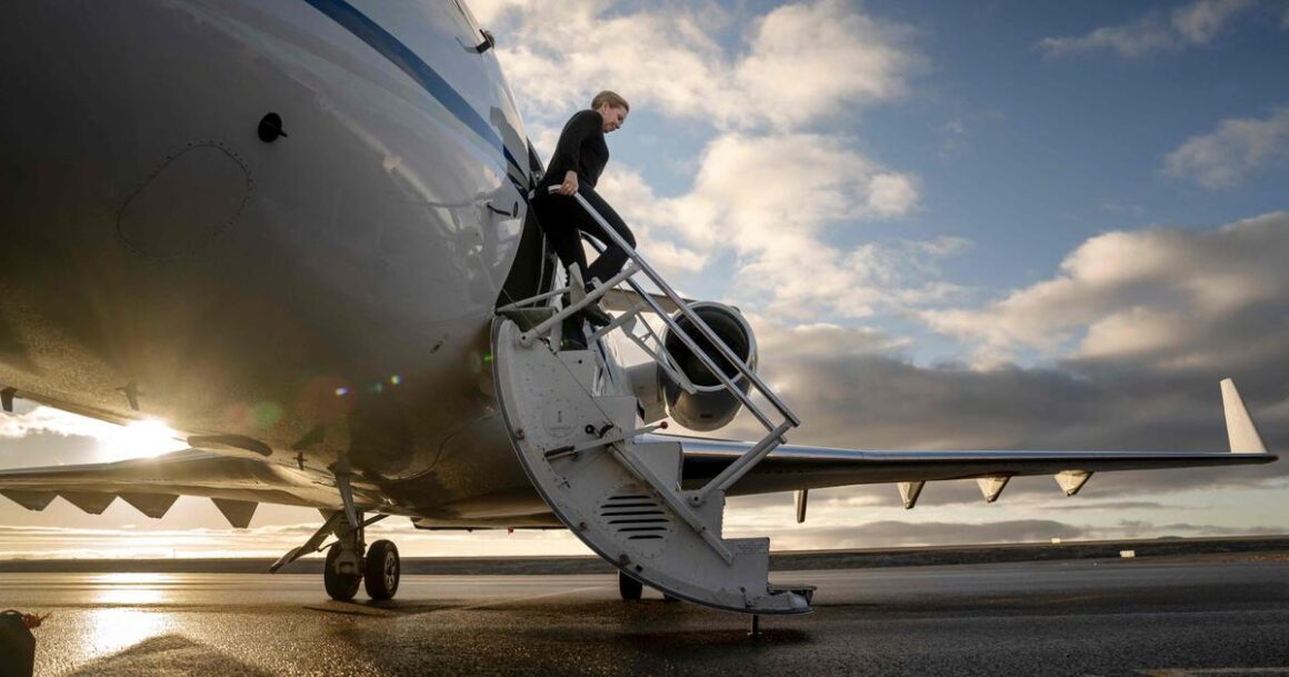 stérilisation Groenlandaises