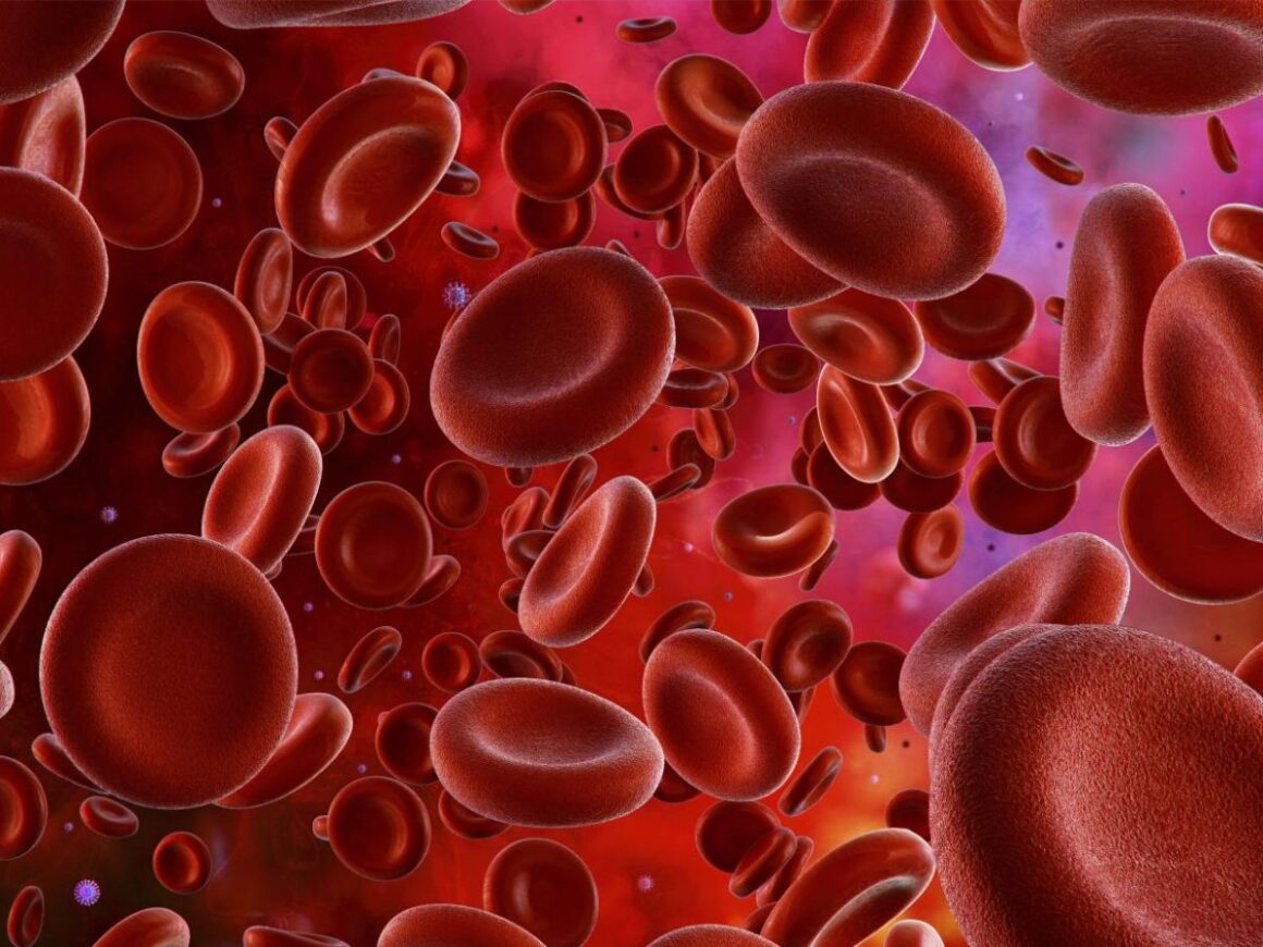 thérapie génique hémophilie B