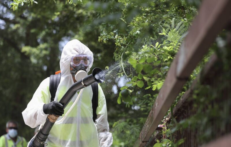 Chikungunya Antibes