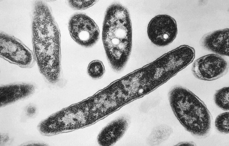 légionellose Savoie