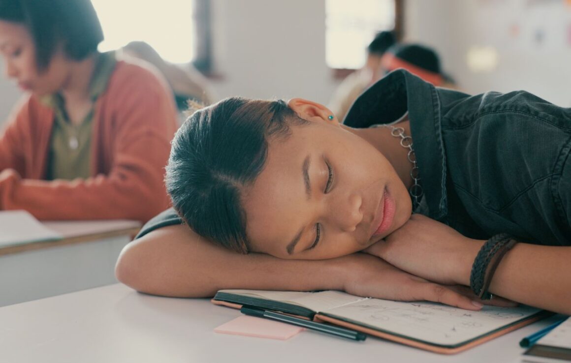 traitement narcolepsie