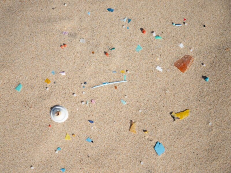 microplastiques microbiote