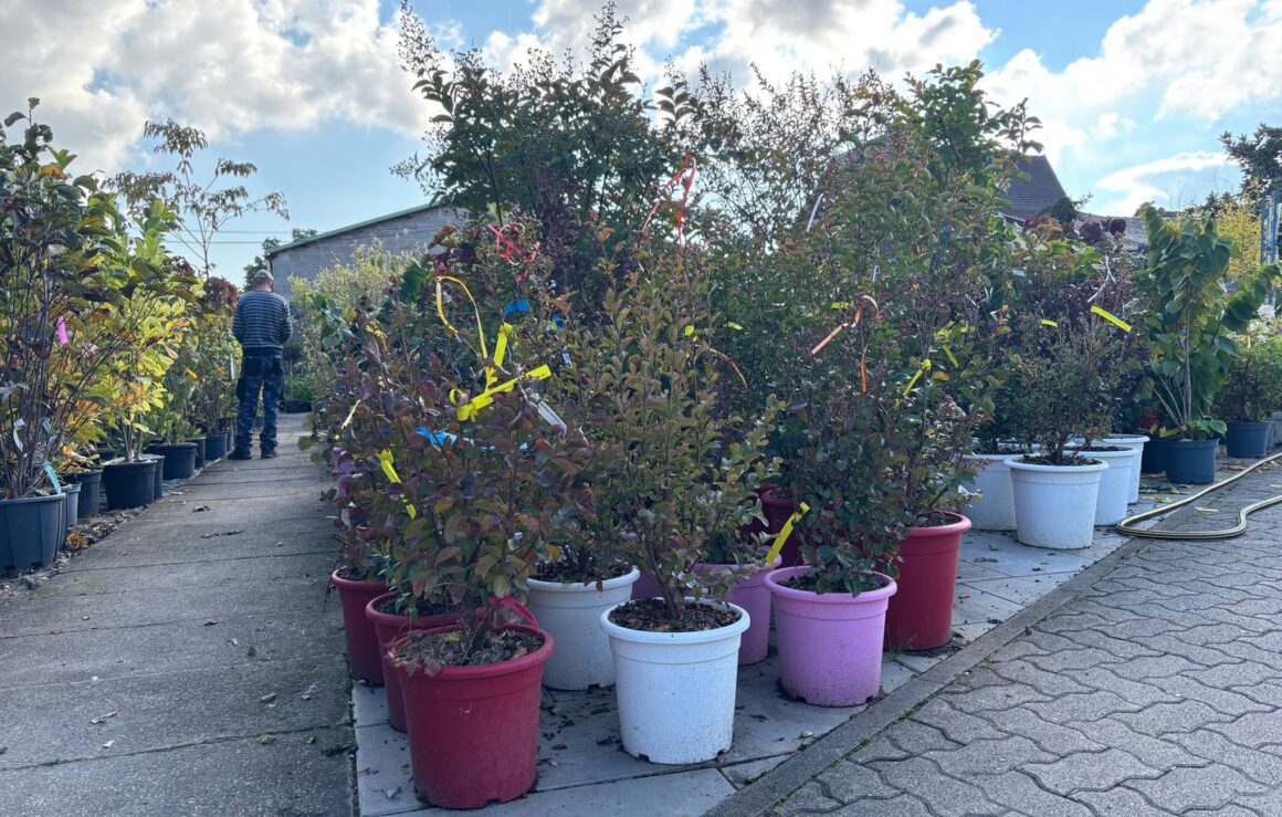 planter jardin octobre