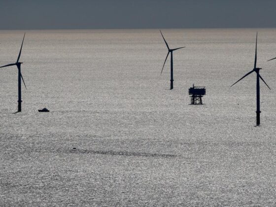 croissance énergies renouvelables