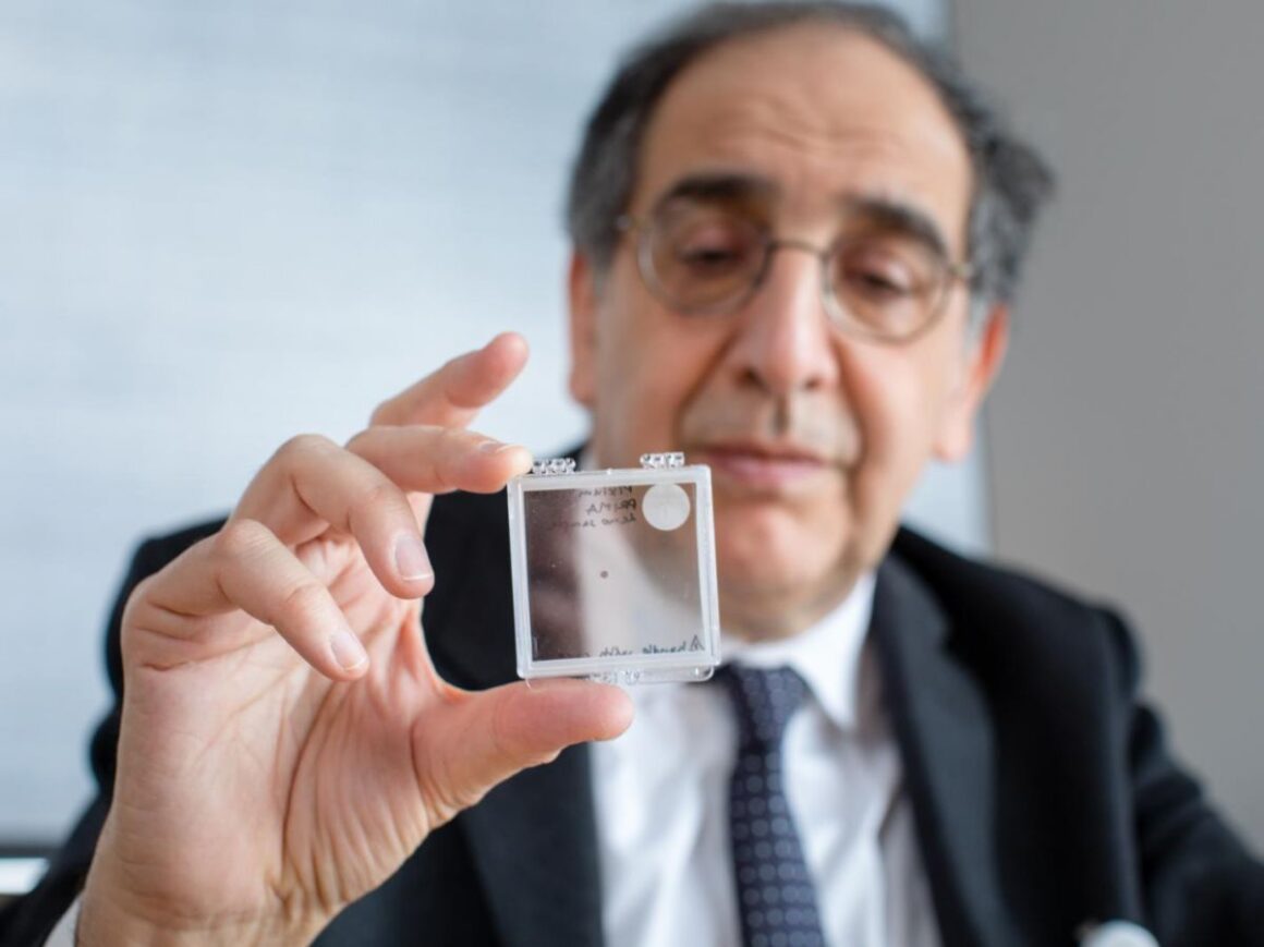 implant sous-rétinien DMLA