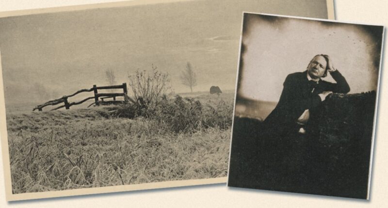 Hugo Contemplations photographie