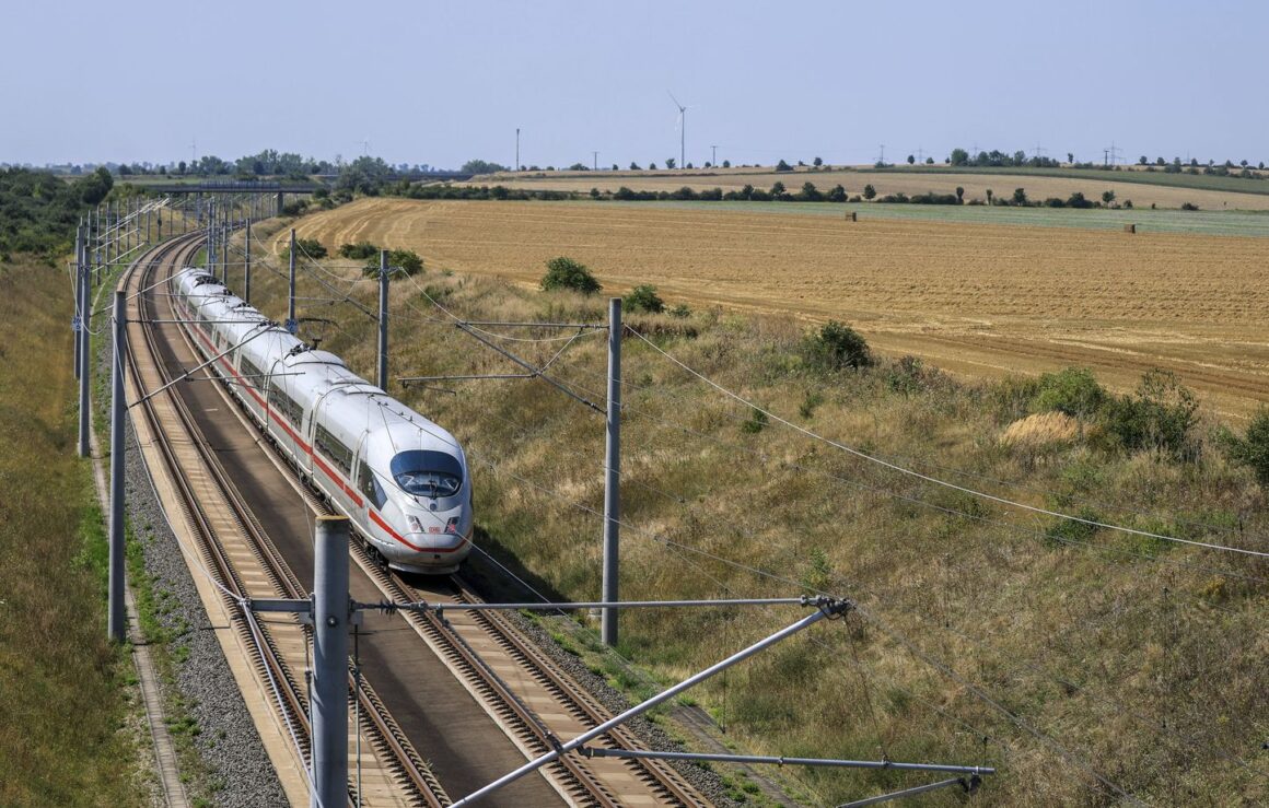 SNCF accidents animaux