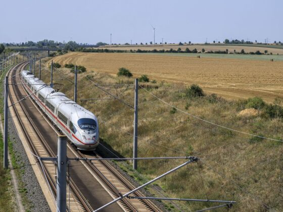 SNCF accidents animaux