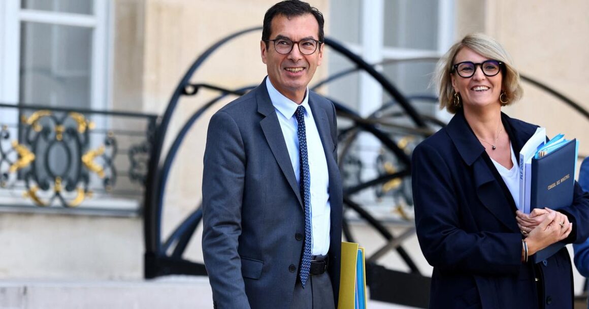 allègements de cotisations