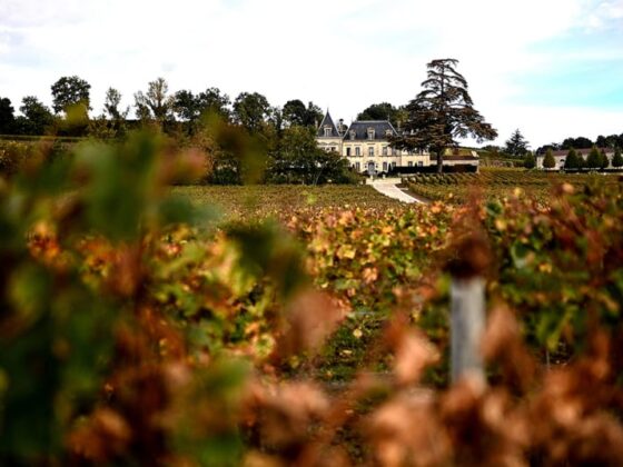 Saint-Émilion blanc