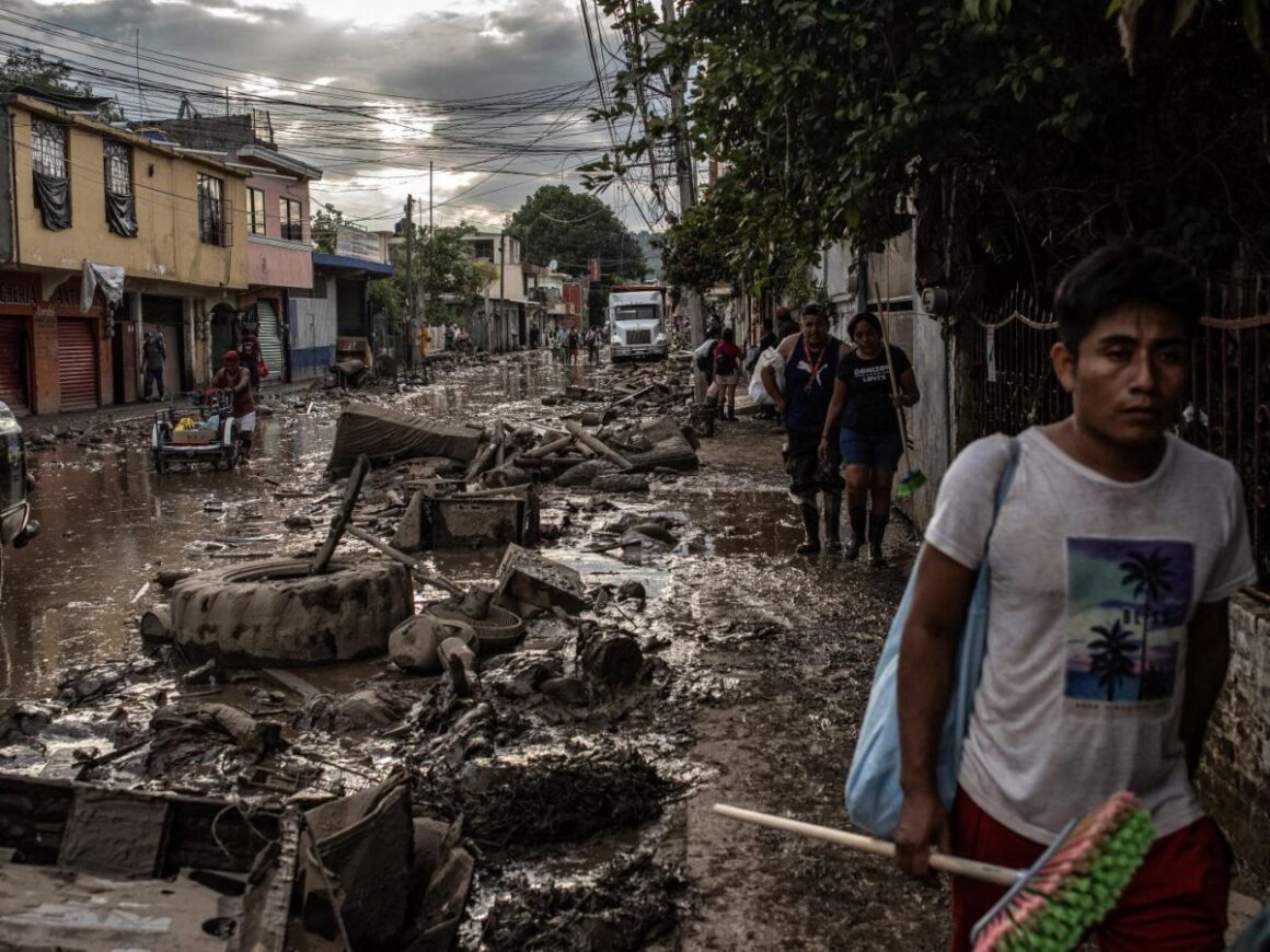 changement climatique victimes