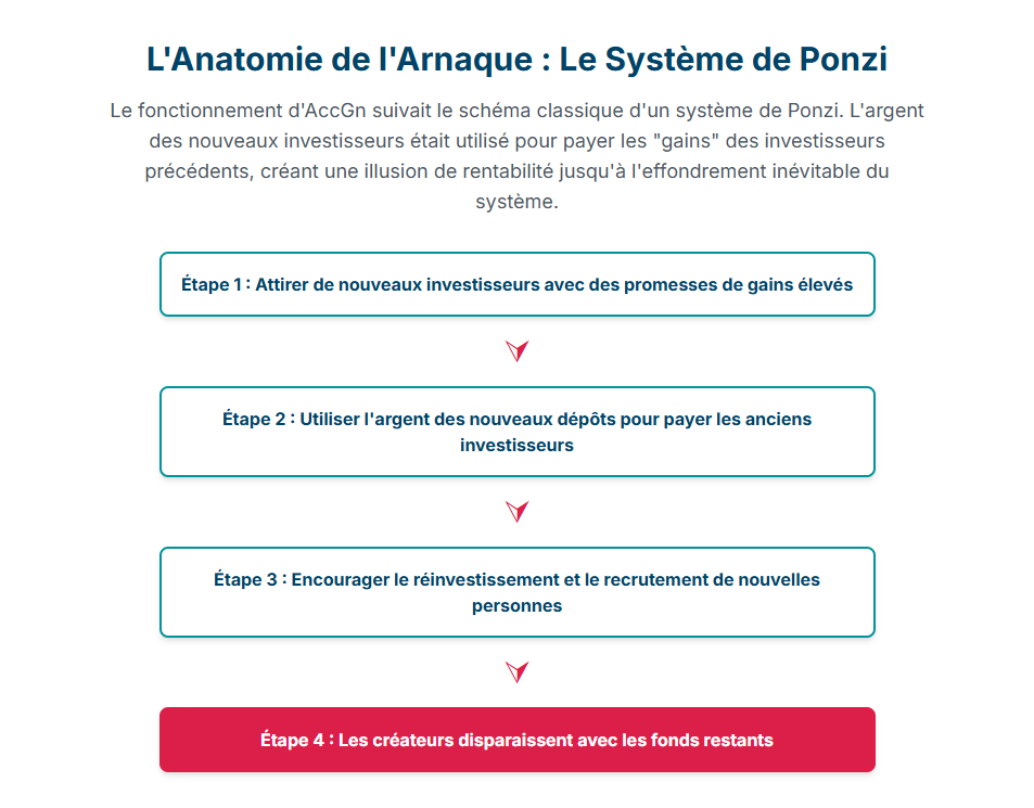 AccGn Avis - L'Anatomie de l'Arnaque Le Système de Ponzi - zoomassurance.fr