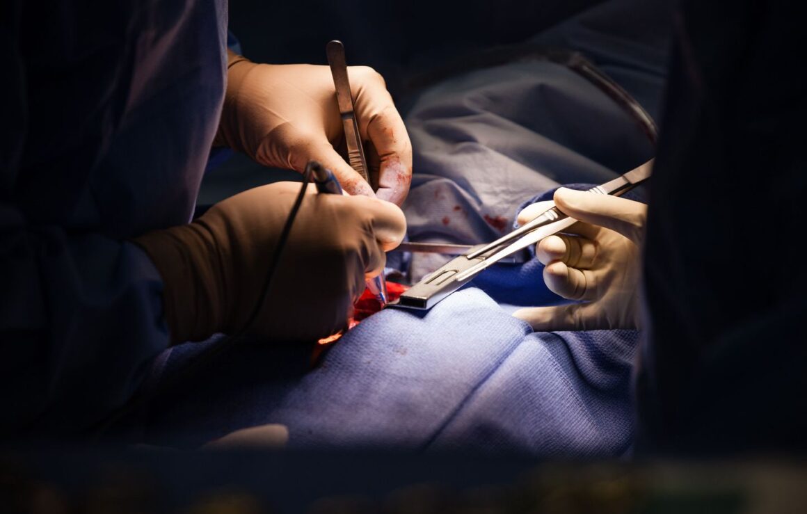 greffe partielle du cœur